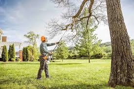 Best Grass Overseeding  in Milton, PA