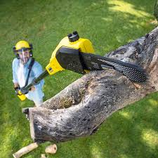 Best Tree Trimming and Pruning  in Milton, PA