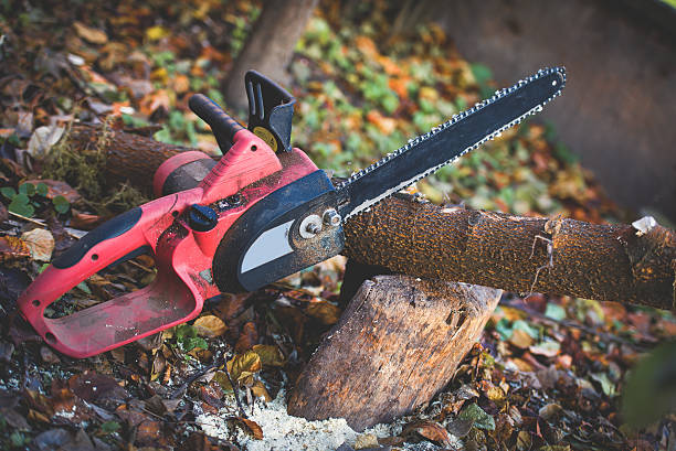 Best Commercial Tree Services  in Milton, PA